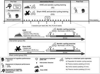 Effects of Intermittent Hypoxia-Hyperoxia Exposure Prior to Aerobic Cycling Exercise on Physical and Cognitive Performance in Geriatric Patients—A Randomized Controlled Trial